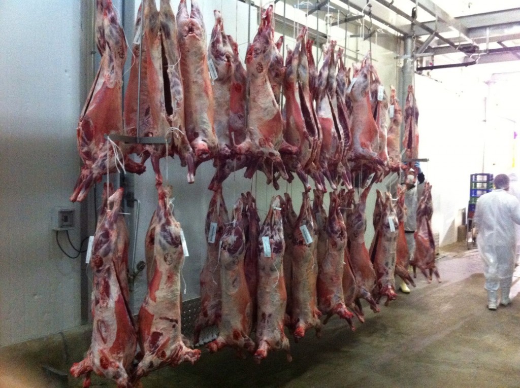Chile se llevó el 42% de la carne bovina paraguaya en el primer trimestre
