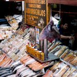 Halal-certified salmon, lamb and dried fruits: Chile’s global halal opportunities