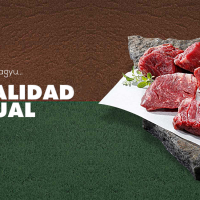 La HalalExpo Spain 2018 a cambio de la HalalExpo Alimentaria en Barcelona