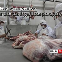 Empresas vietnamitas exploran mercado halal