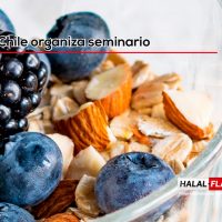 Diario Chileno « Sello Halal se abre paso poco a poco en el mercado chileno »