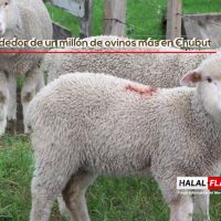 Chile prioriza la trazabilidad animal mediante una nueva iniciativa