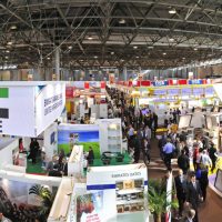 SAG certifica primera exportación de plantas de arándanos con destino a Colombia