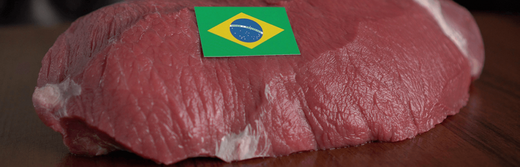 La Cámara de Comercio Árabe-Brasileña promueve un proyecto de blockchain para el sector avícola brasileño