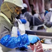 Paraguay exporta más de 20 mil kilos de carne bovina a Chile en el primer bimestre