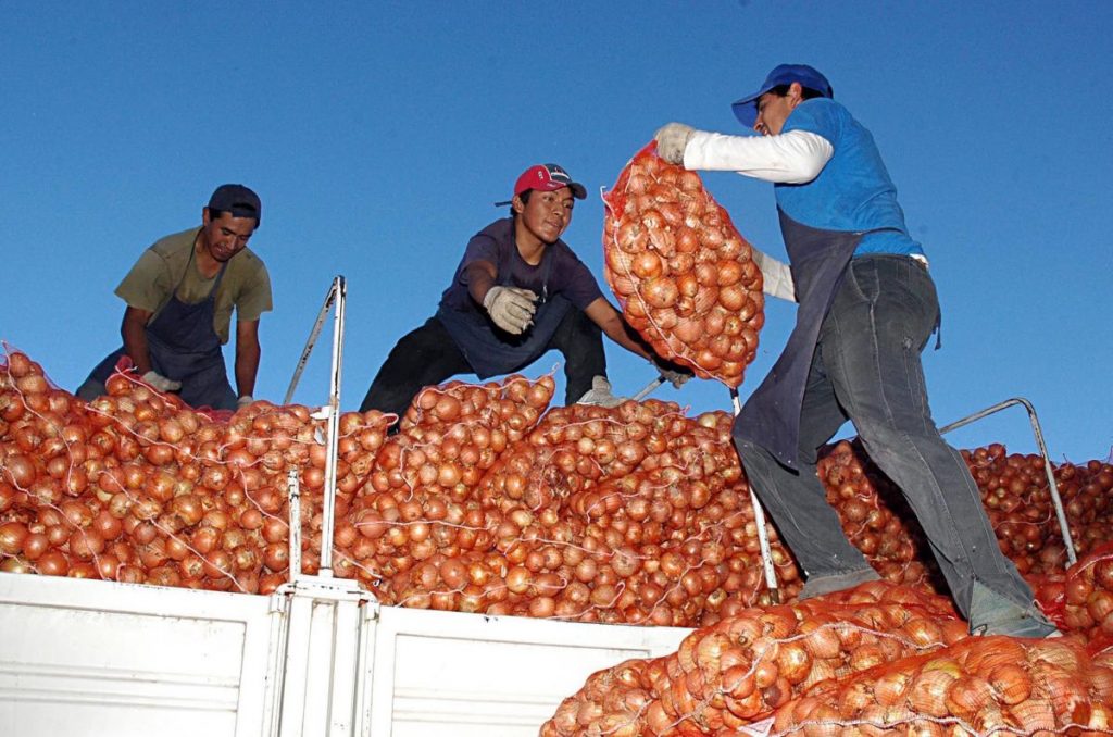 DESCRIPCIÓN GENERAL DEL MERCADO MUNDIAL DE LA CEBOLLA
