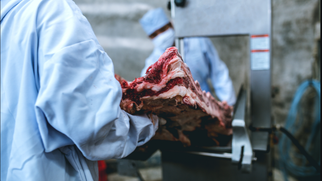 De 21 mataderos solo cuatro son legales en Cochabamba