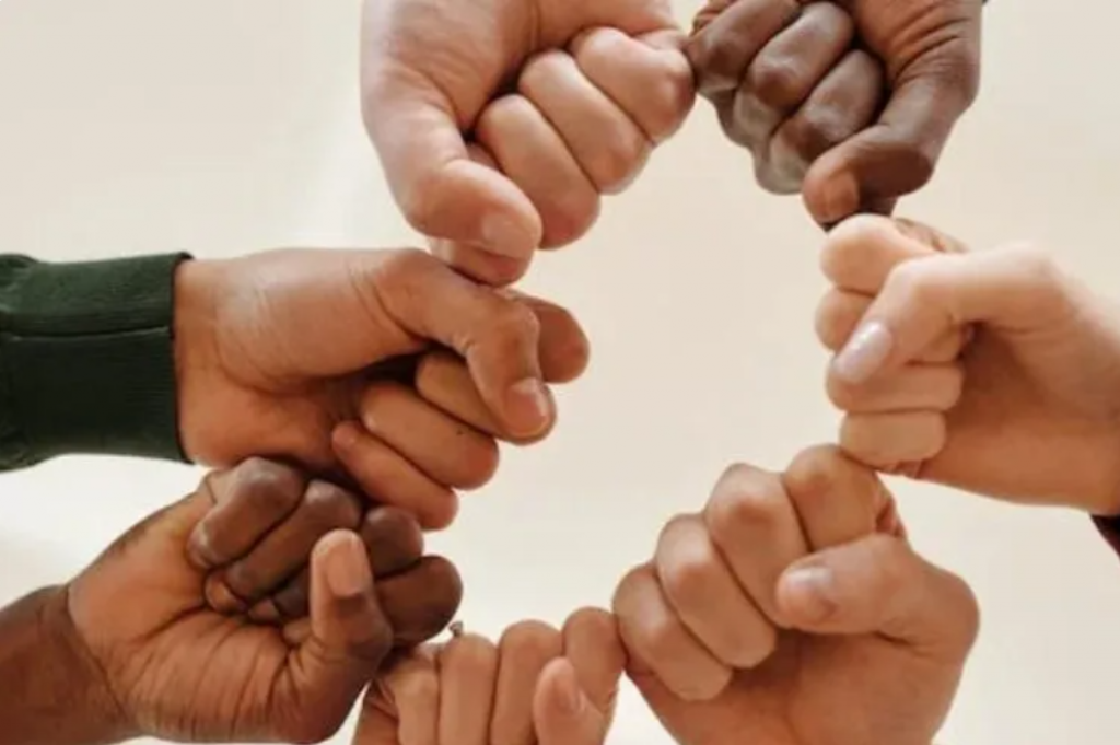 ¿Cómo presentar las marcas nacionales de la OCI al resto del mundo?