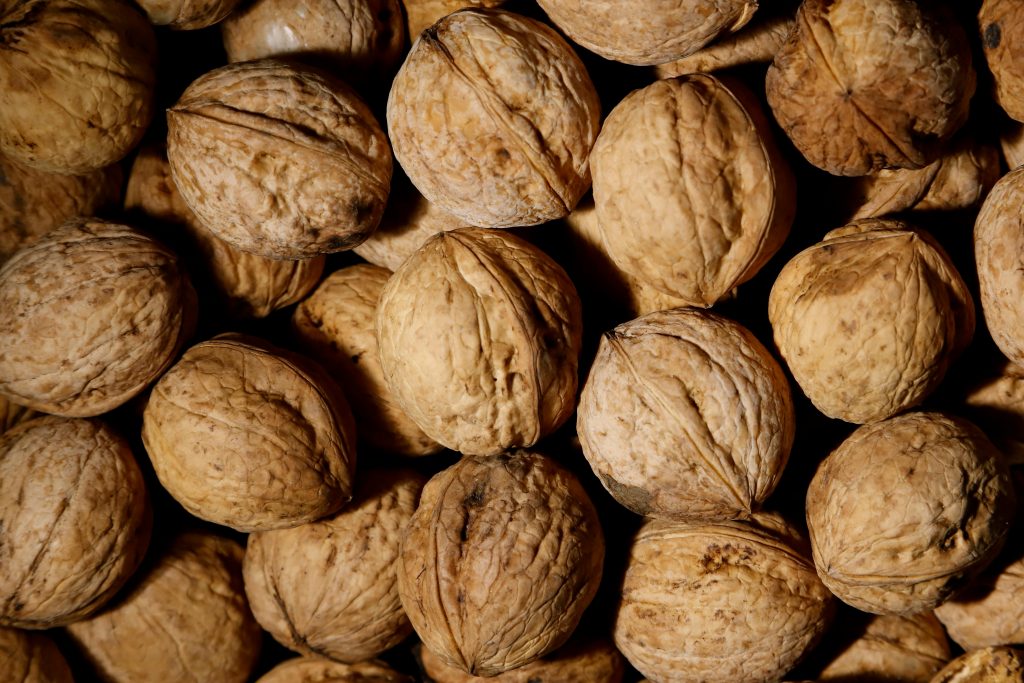 Biobío impulsa exportaciones de nueces: una ruta abierta hacia el mercado Halal