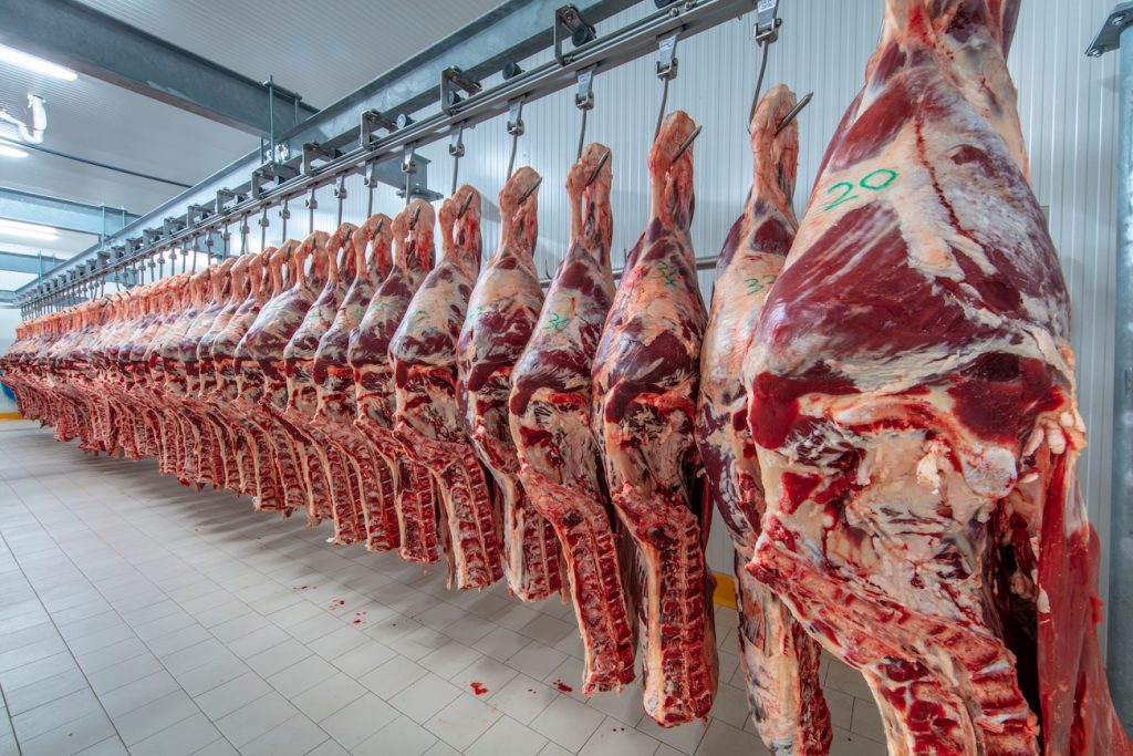 Carne halal: sentencia de prisión para mayorista fraudulento