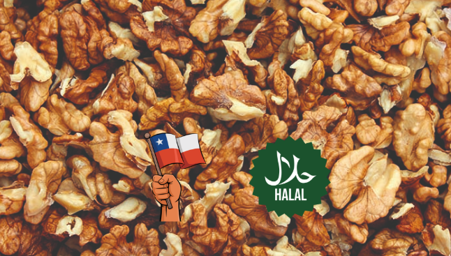 El auge de las nueces chilenas y su potencial Halal: ¿por qué importa para la industria halal?