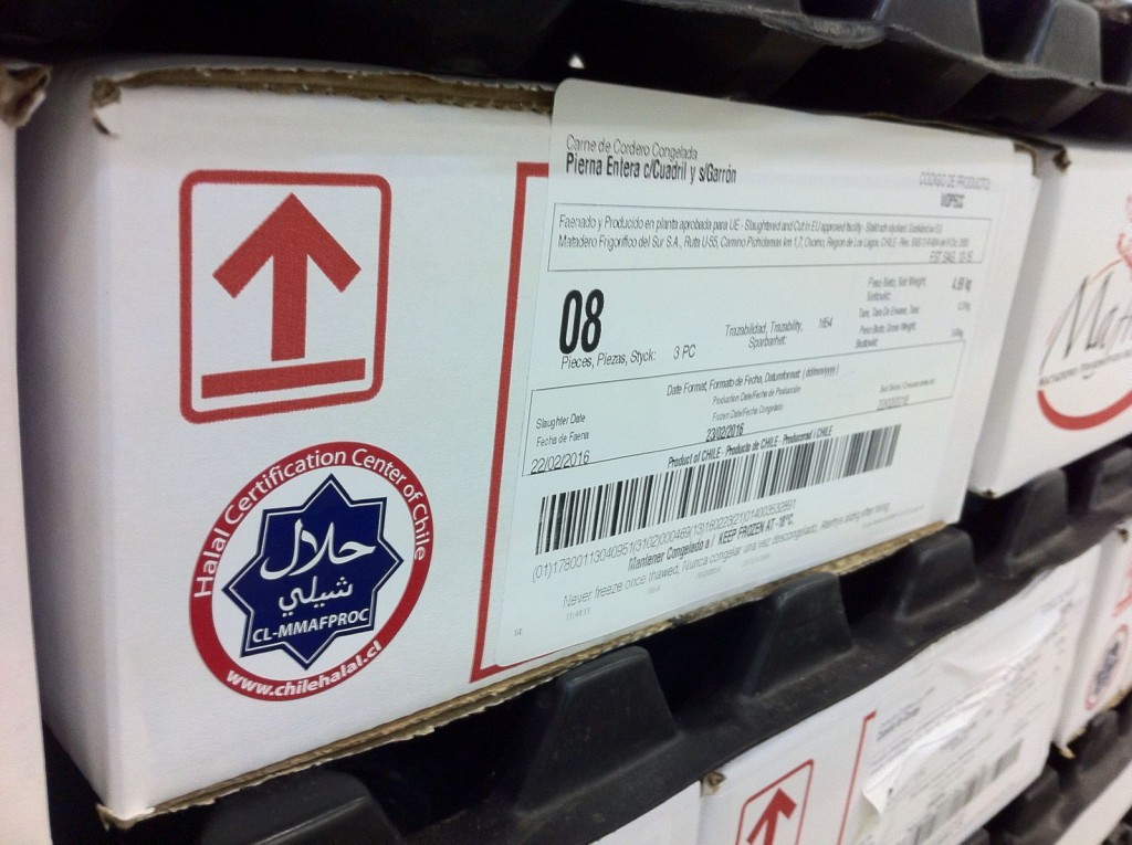chilehalal certifica carne de cordero “Halal” para todo Chile