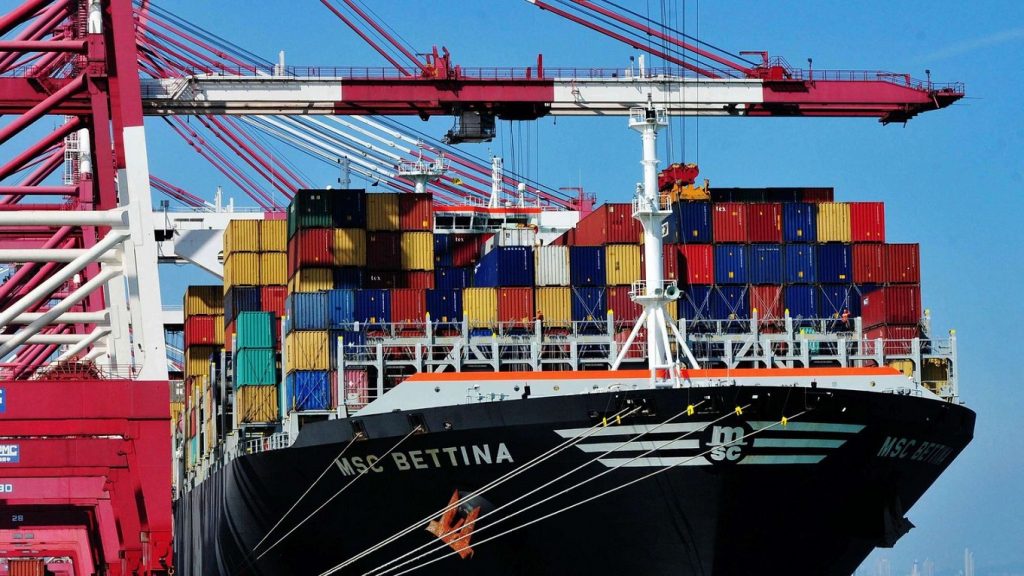 Acerca del CODEX ALIMENTARIUS