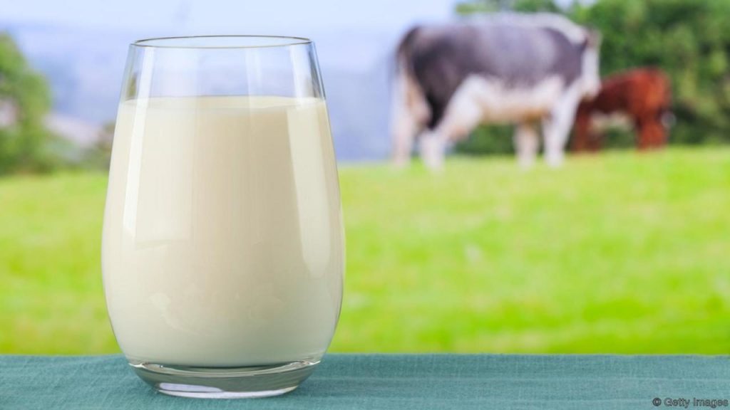 ¿Sabe usted de qué se trata la leche con Beta-Caseína A2?