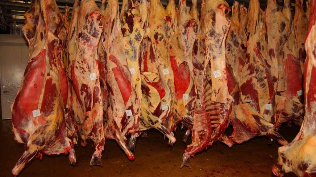 El TJUE toma la decisión final sobre la disputa sobre los mataderos halal en Bélgica