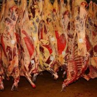 China compró más de la mitad de las exportaciones de carne