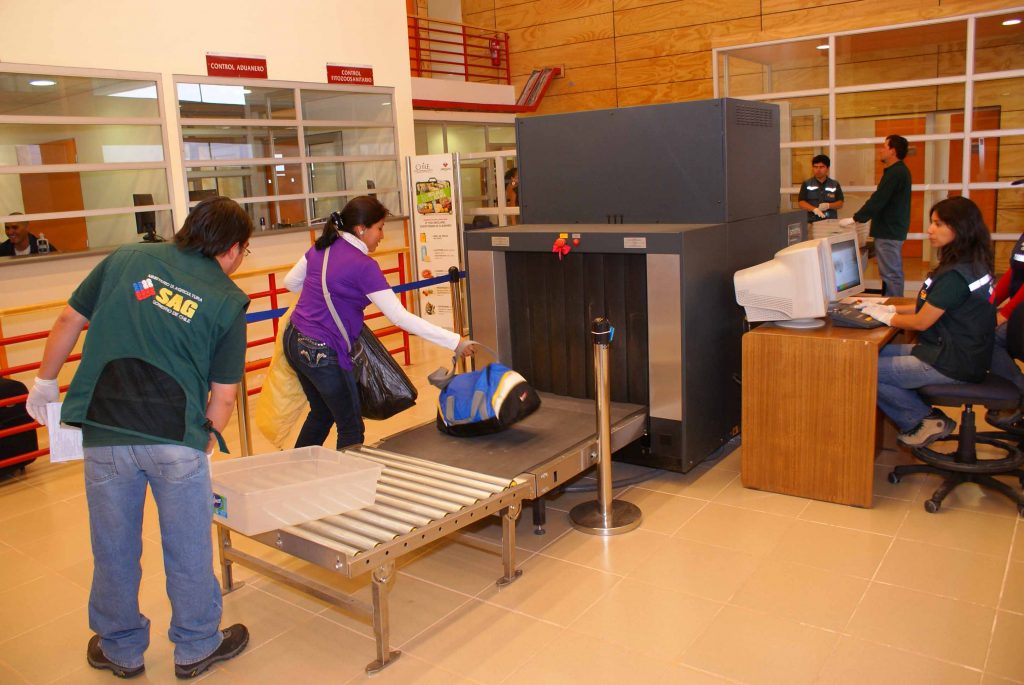 ¿Por qué no se pueden ingresar algunos productos de origen animal y vegetal a Chile?