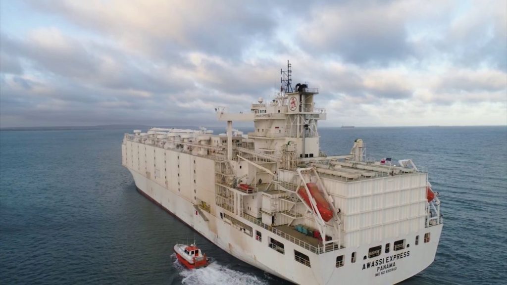 Gobierno de Australia retira licencia a su mayor exportador de ovejas tras conocer crueles condiciones de transporte