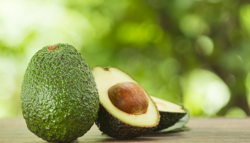 Perú: prevé incremento de las exportaciones de paltas peruanas a Estados Unidos