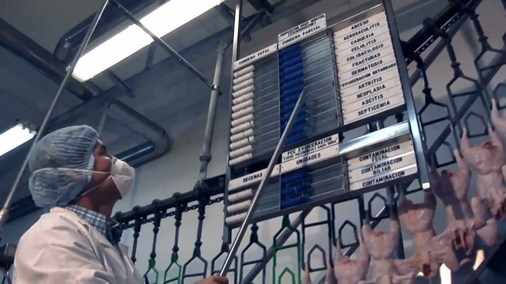 ¿Cuánto podría perder la industria avícola de Brasil este 2018?