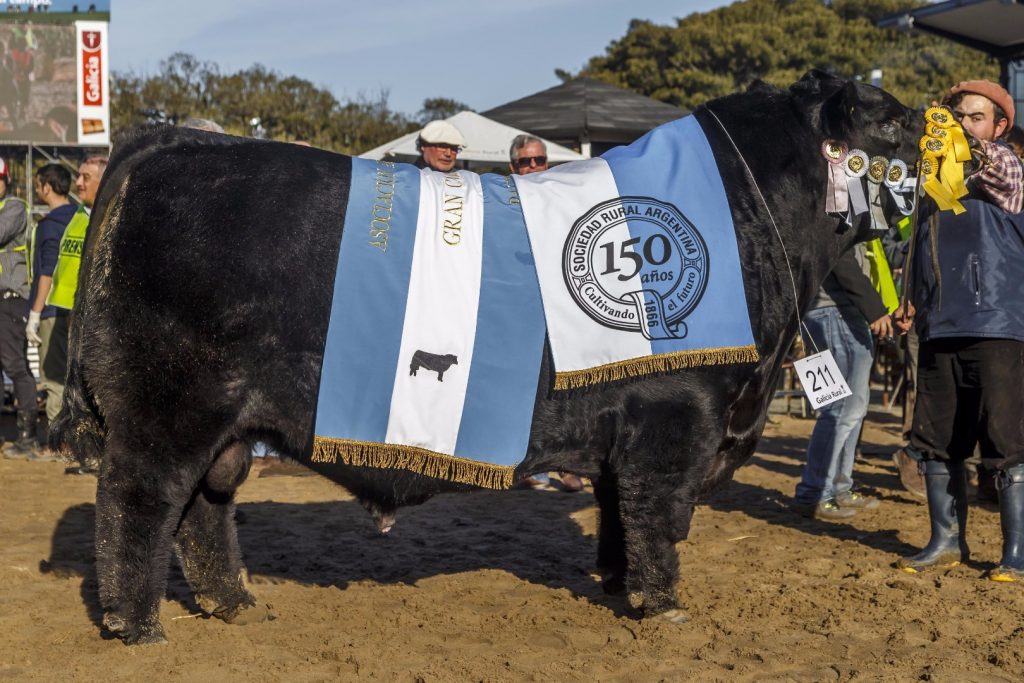 ProductSin trabas para exportar, Argentina vuelve a ser una carnicería del mundo