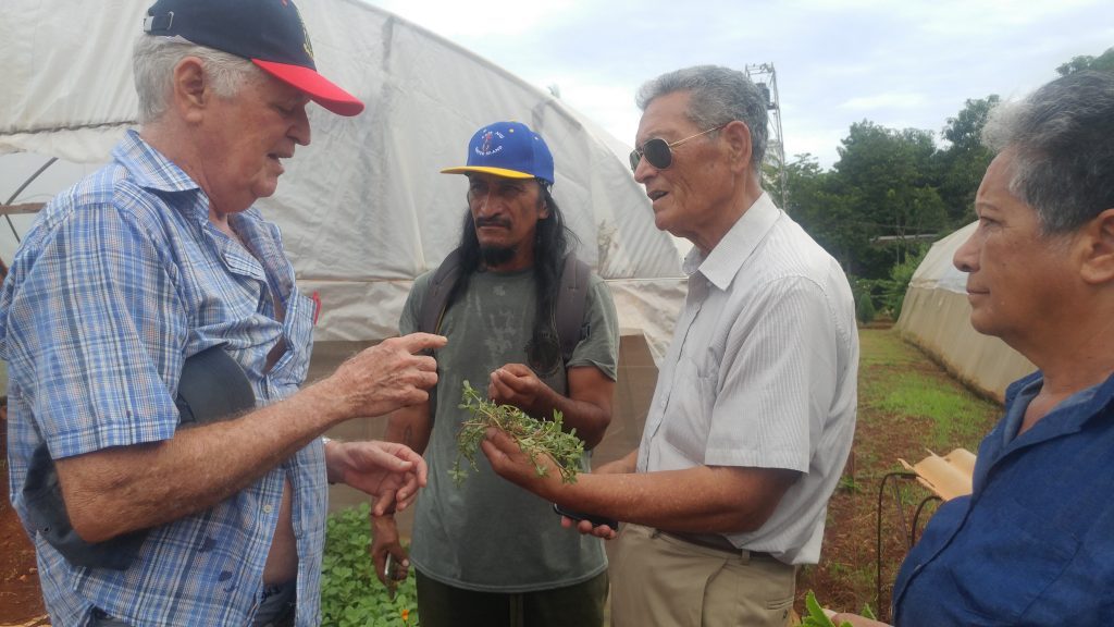 Agricultores de Rapa Nui conocieron sobre agricultura sostenible en Cuba