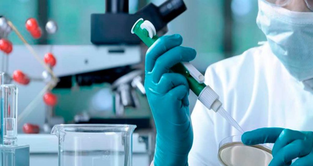 Argentina abre mercado marroquí para la exportación de embriones bovinos.