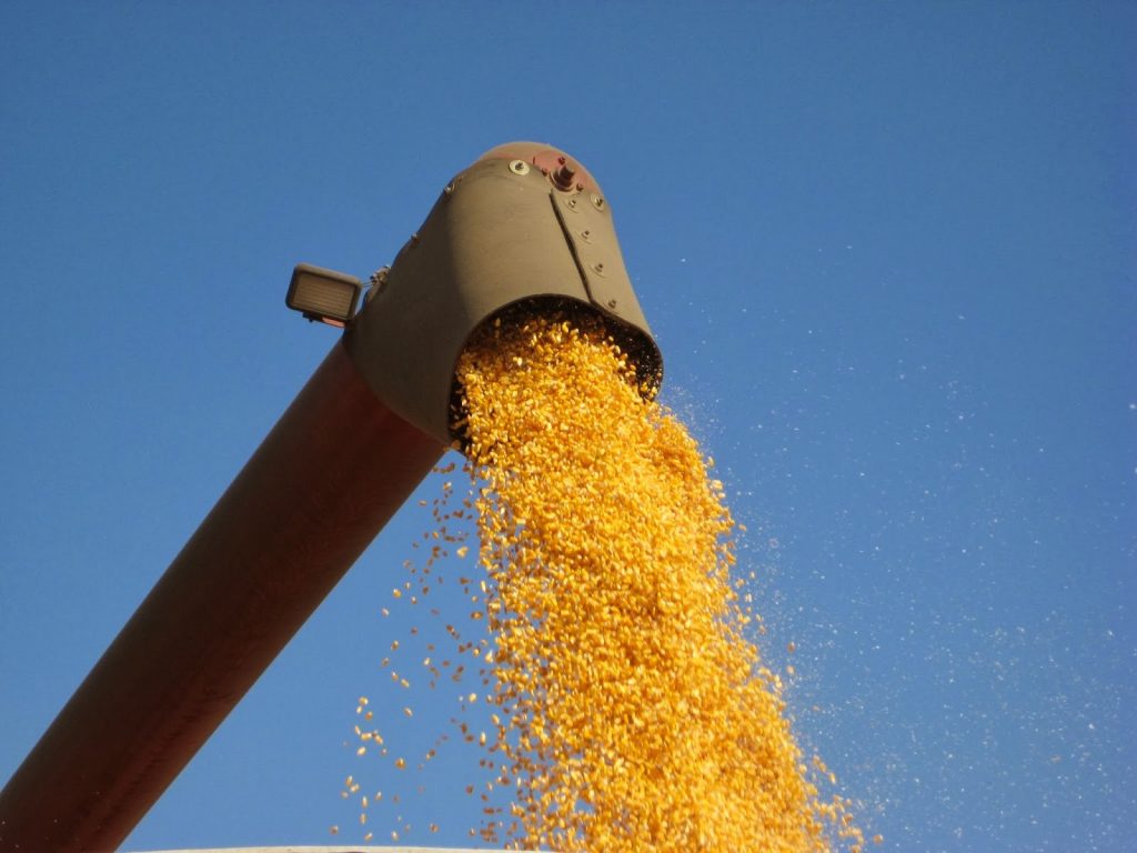 Chile con un complicado inicio de la cosecha del maíz