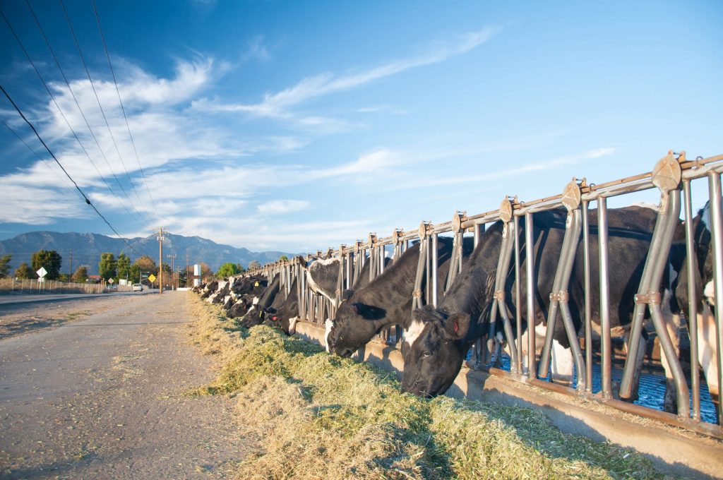 Los precios de la carne en los Estados Unidos se espera que suban este año