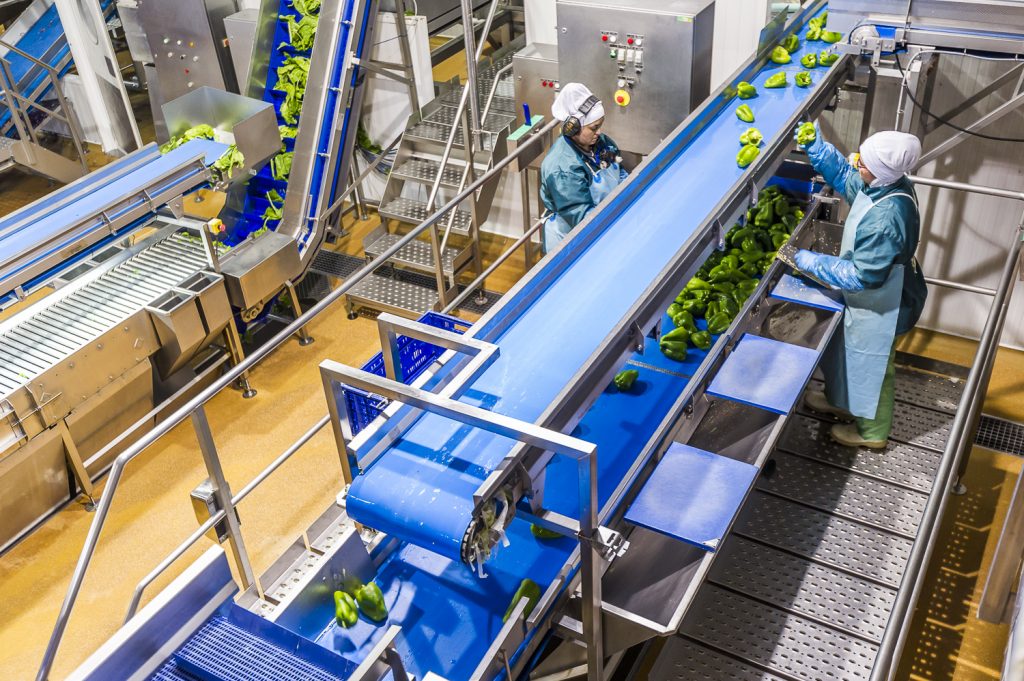 Citrus llega al mercado chino con su marca de alimentación infantil Byba