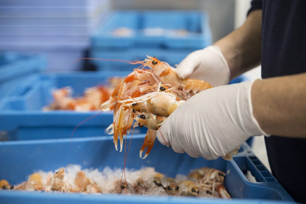Cómo comer marisco en verano sin riesgos