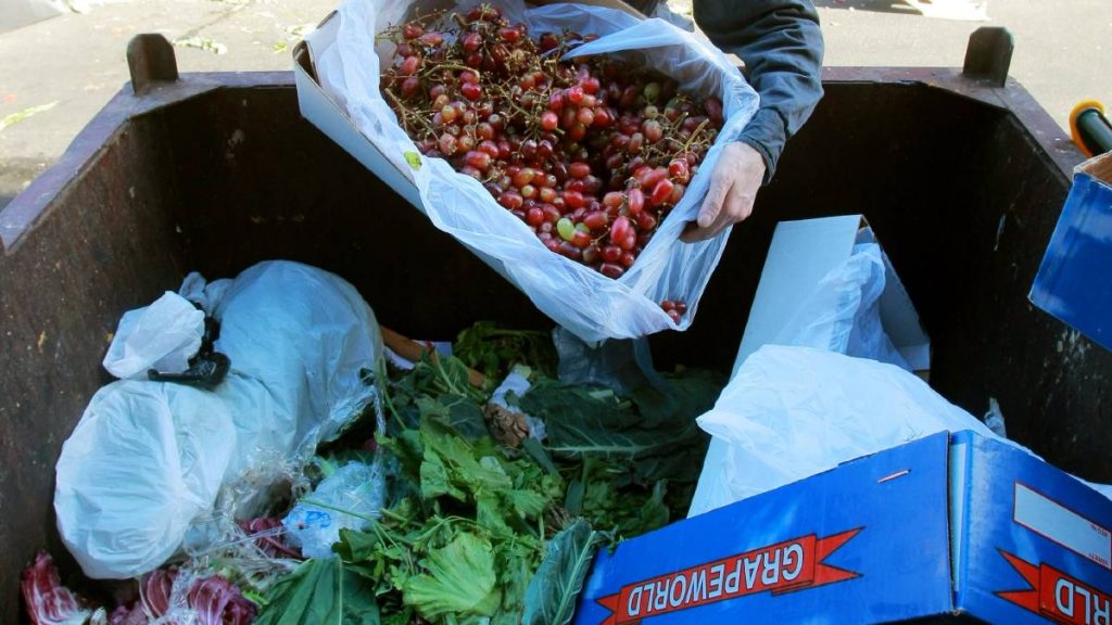 UNA DE LAS FORMAS EN QUE LOS SUPERMERCADOS DEL FUTURO PUEDEN AFRONTAR EL ESCÁNDALO DEL DESPERDICIO DE ALIMENTOS.