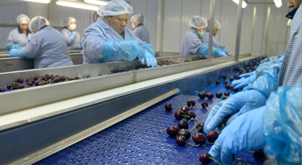 Turquía: aumentan exportaciones de cerezas a China