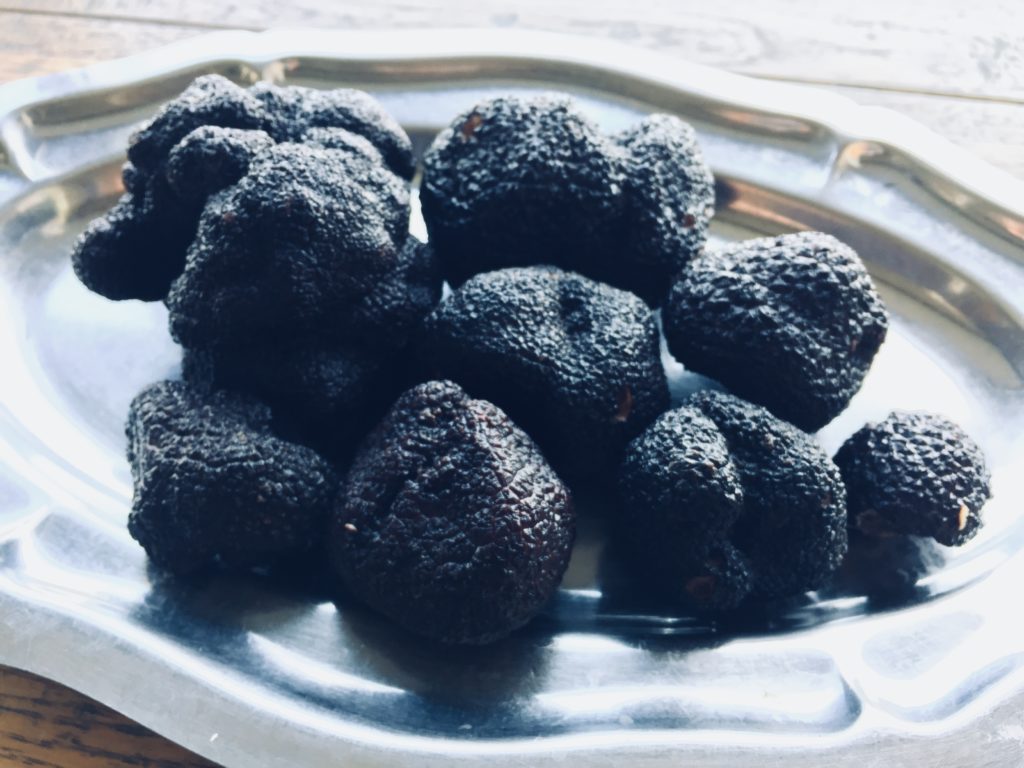 Humberto Castro: “Voy a quedar en la historia por ser el primero que pudo cosechar trufas en el sur argentino”