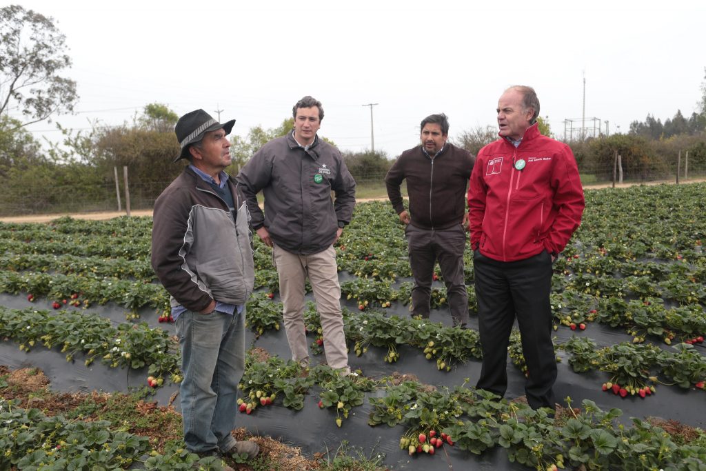 Ministro Antonio Walker amplia zona de emergencia agrícola por escasez hídrica a 24 comunas de la Región Metropolitana