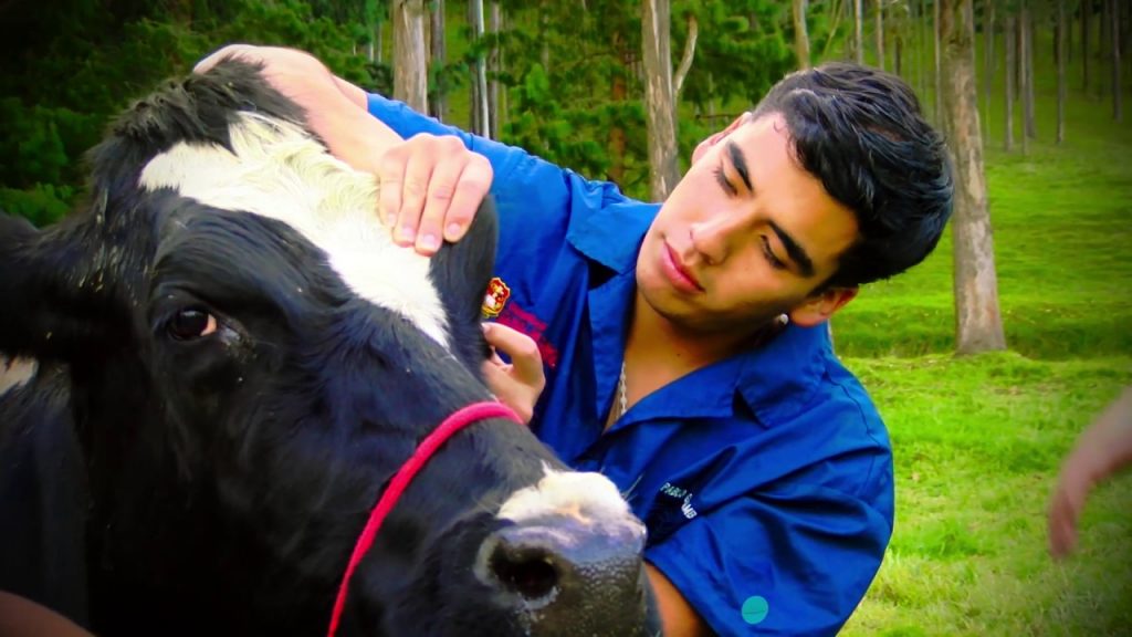 El veterinario, clave en la promoción del bienestar animal