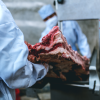 Productores de carne de Irlanda del Norte podrán exportar carne de vacuno a EE.UU.