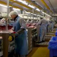 Las ventas de carne de ave brasileña aumentaron levemente en 2020