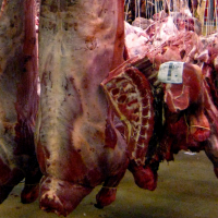 Australia sigue siendo el mayor exportador de carne de cabra