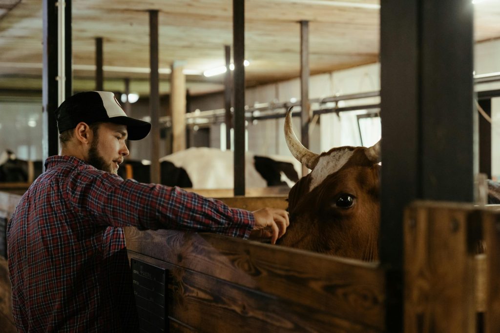 Bienestar animal en bovinos productores de carne: una necesidad ética, sanitaria y productiva