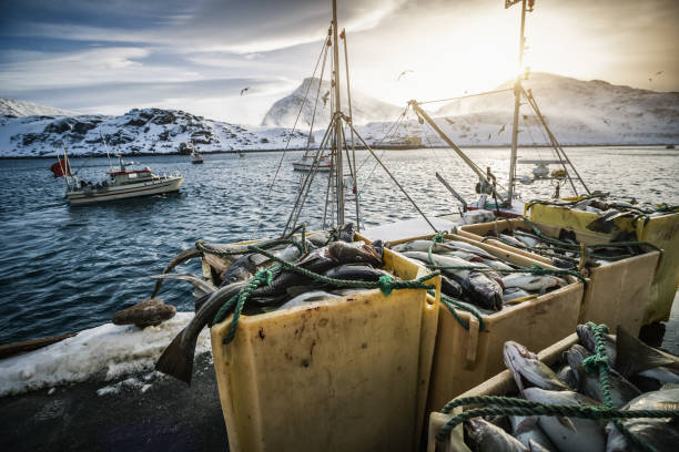 Chile impulsa exportaciones de bacalao de profundidad: crecimiento del 65% en Magallanes