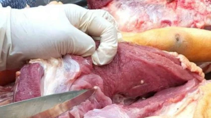 Cuidado con la carne “casera”: brote de triquinosis reactiva las alertas sanitarias en 2026